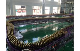 【專業酒水類流水線供應商】供應扁瓶輸瓶機,空瓶輸送流水線
