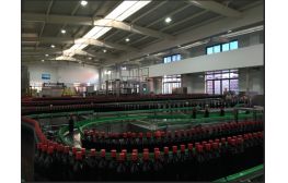 【專業酒水類流水線供應商】供應易拉罐灌裝機